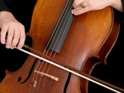 Violoncello