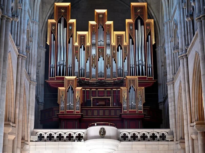 Orgel