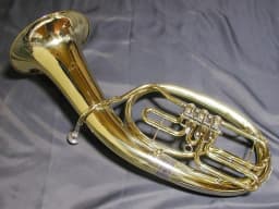 Tenorhorn