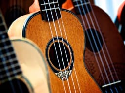 Ukulele